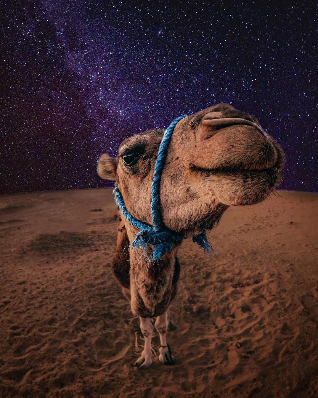 Merzouga Luxury Magic Nights 외부 사진
